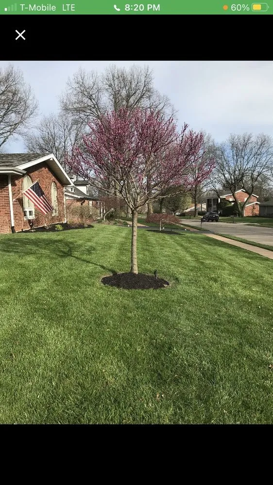 Expert landscape design near you in Saint Louis, MO by PLMS