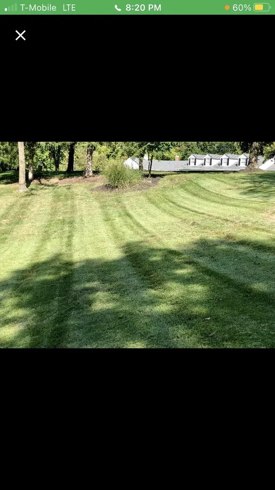 Affordable lawn care service for beautiful yards in Saint Louis, MO by PLMS