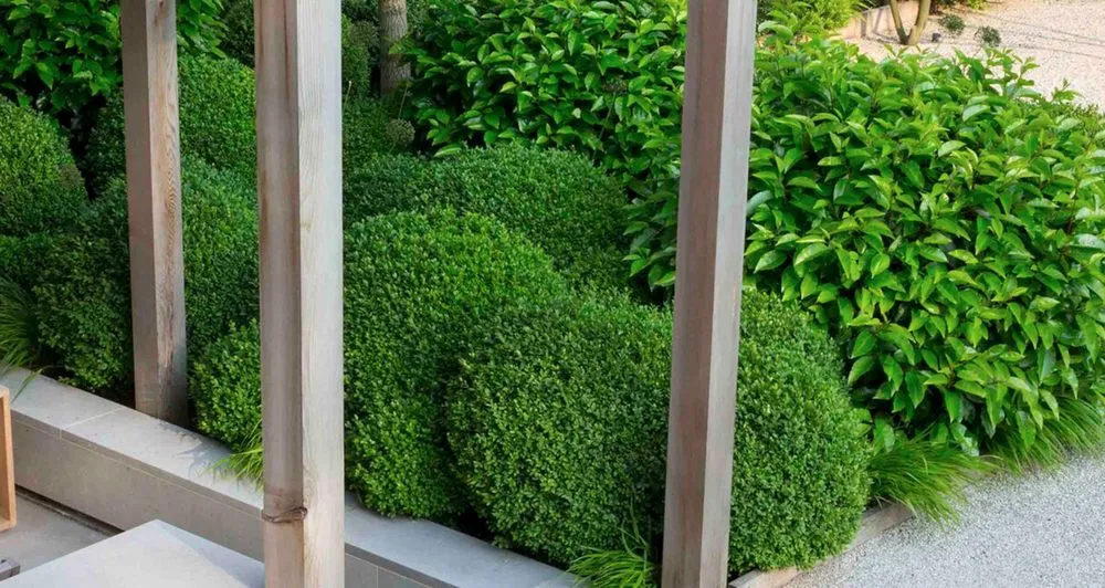 Local lawn mowing service for beautiful yards across Brooklyn, NY - Plnt Culture