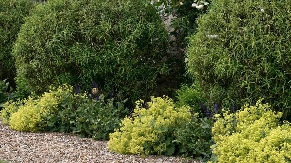 Custom landscaping services in Brooklyn, NY - Plnt Culture