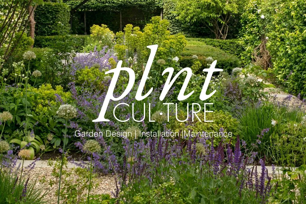 Top-rated landscape design in Brooklyn, NY by Plnt Culture