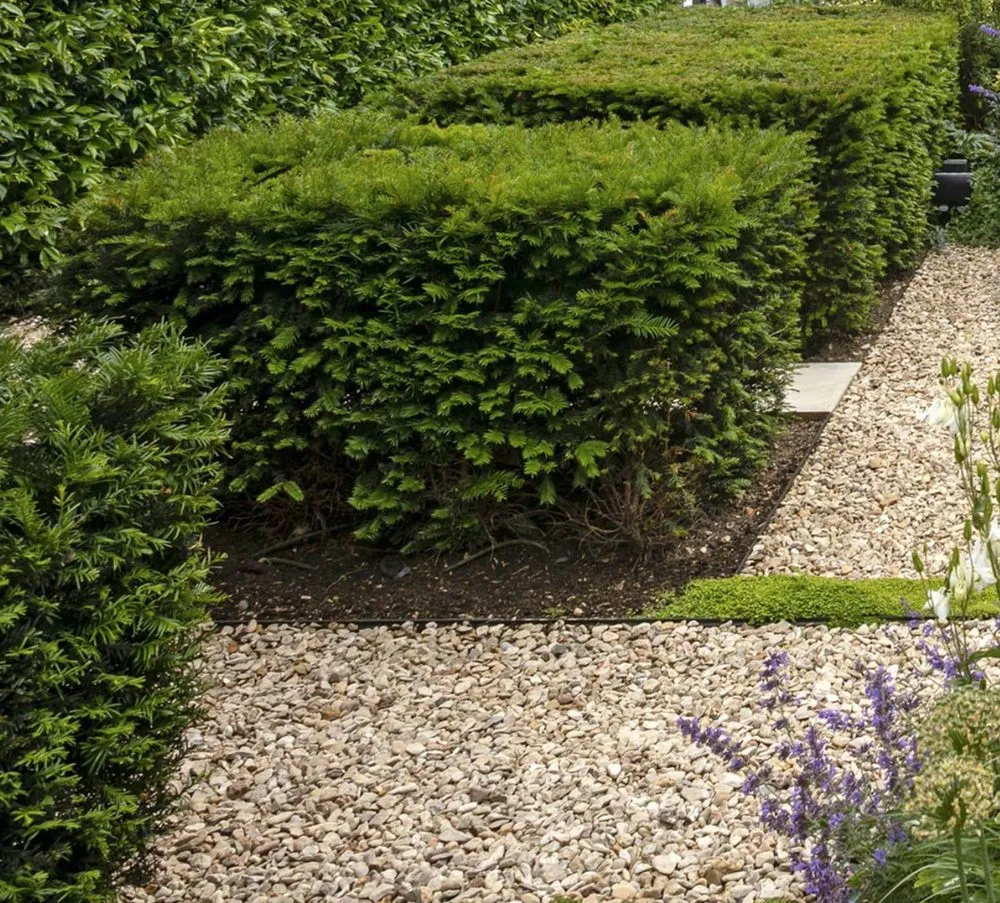 Reliable garden landscaping in Brooklyn, NY by Plnt Culture