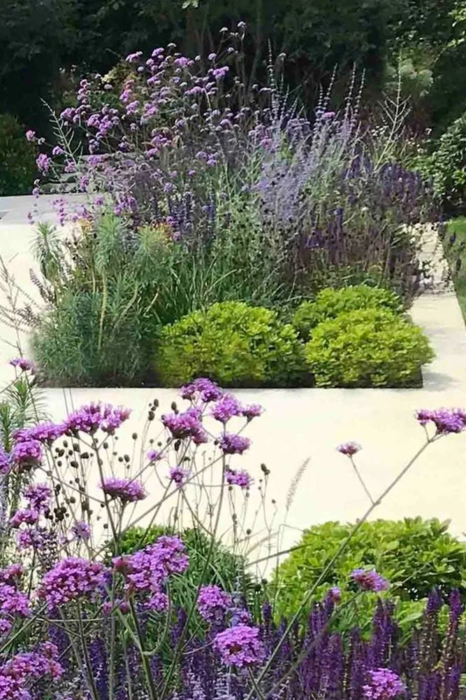 Custom yard cleanup service in Brooklyn, NY - Plnt Culture