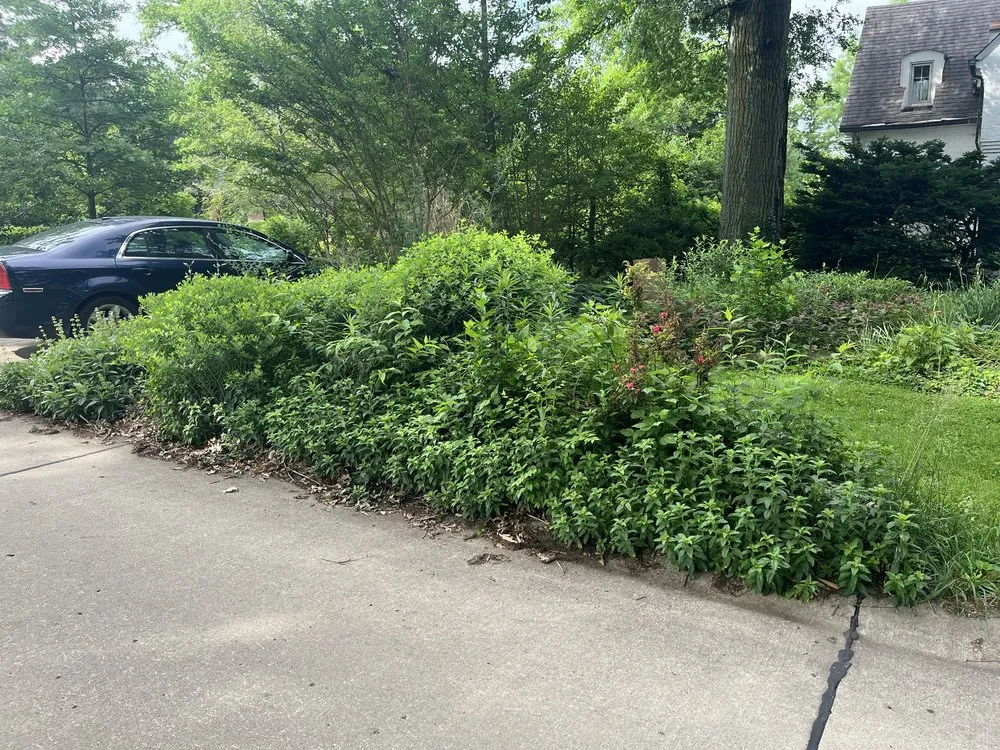 Affordable residential landscaping for beautiful yards in Cincinnati, OH by Plots n’ Pots