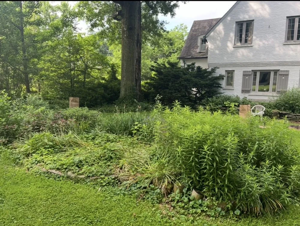 Local lawn mowing service in Cincinnati, OH - Plots n’ Pots