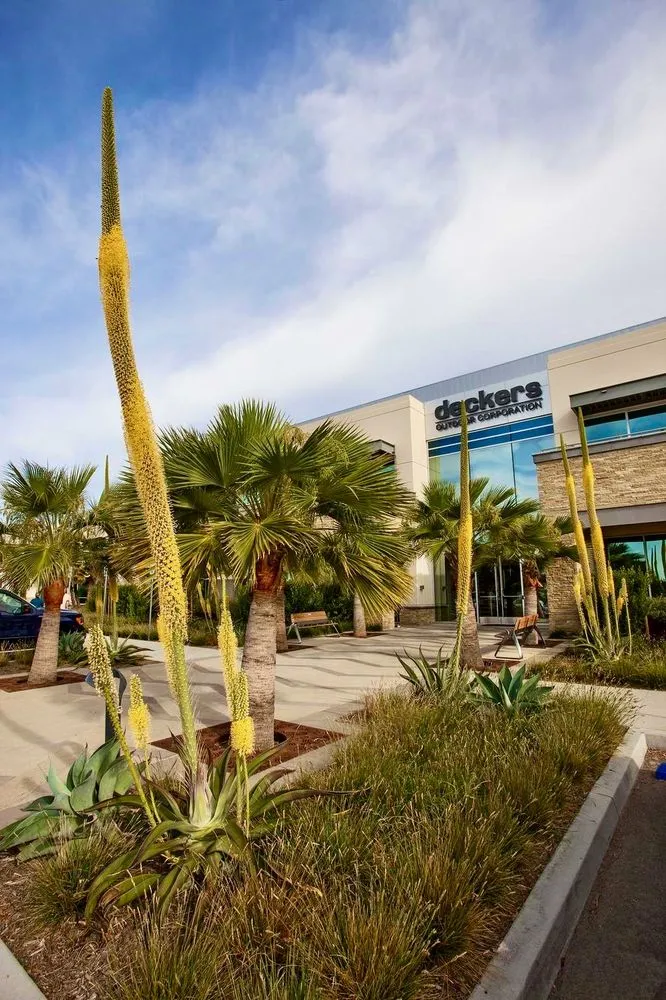 Affordable lawn mowing service for beautiful yards across Ventura, CA - Plowboy Landscapes