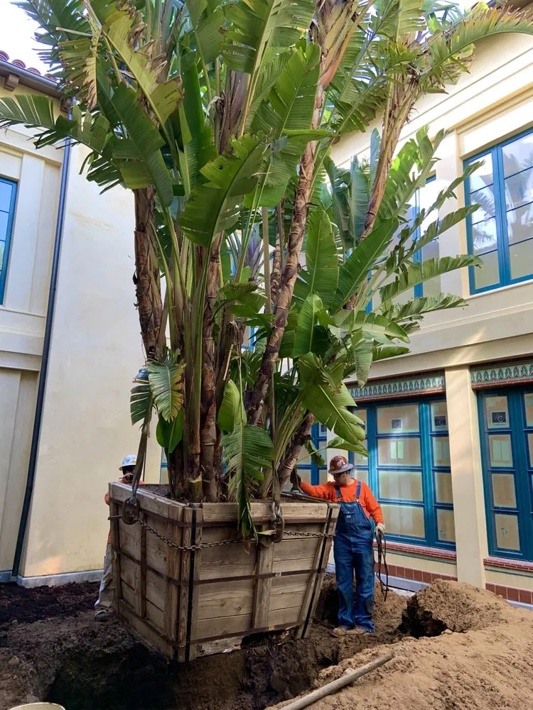 Expert residential landscaping for year-round maintenance in Ventura, CA by Plowboy Landscapes