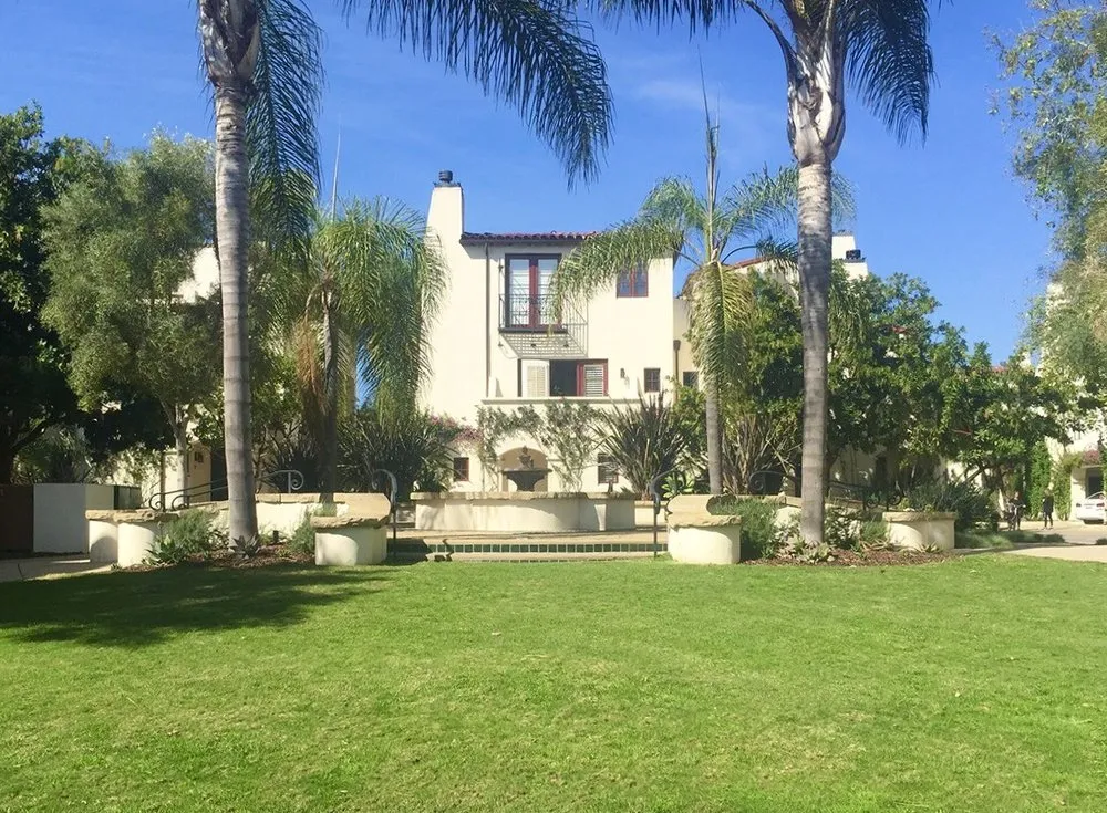 Reliable yard cleanup service near you across Ventura, CA - Plowboy Landscapes