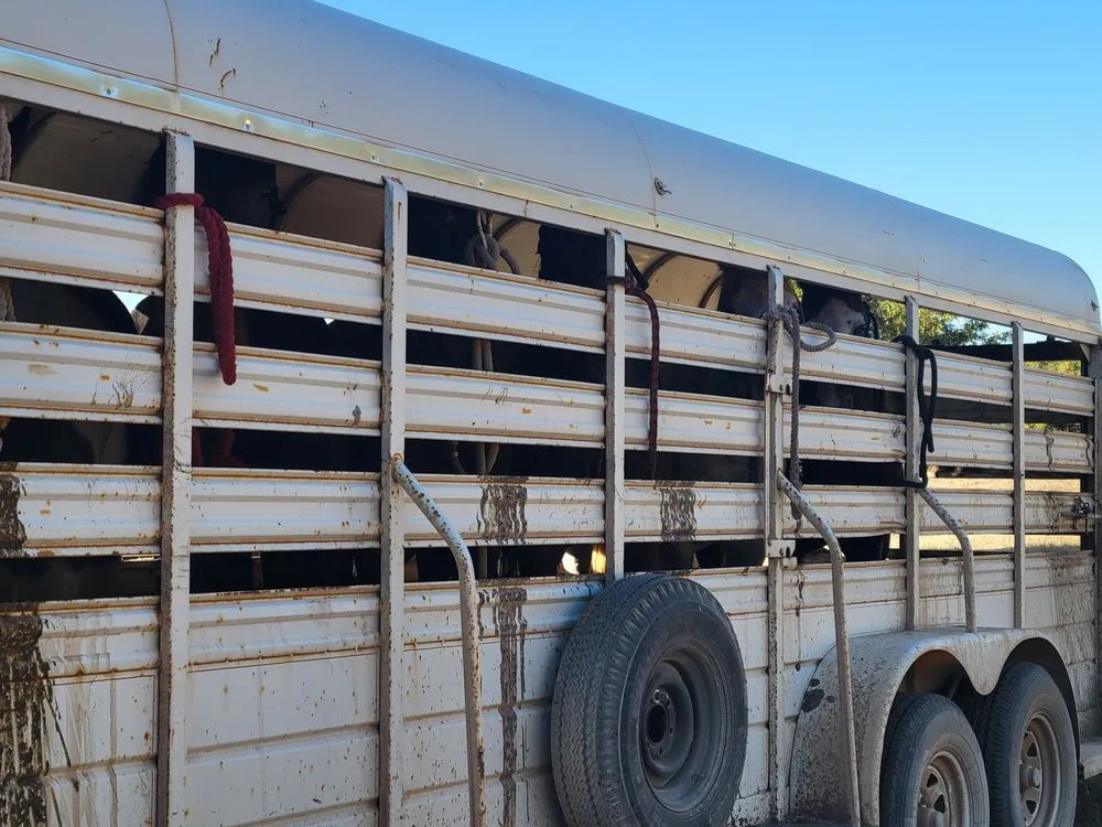 Expert landscape installation in Enoch, UT by Plowboy Services