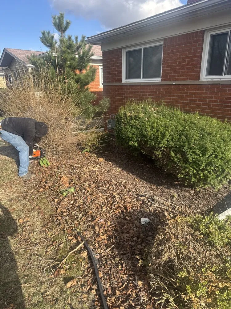 Reliable yard maintenance in Southfield, MI - PLR Landscaping