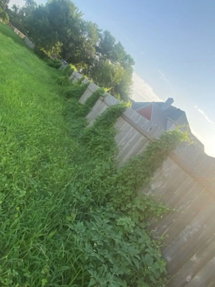 Local garden landscaping in Bay Minette, AL by Pls Landscaping