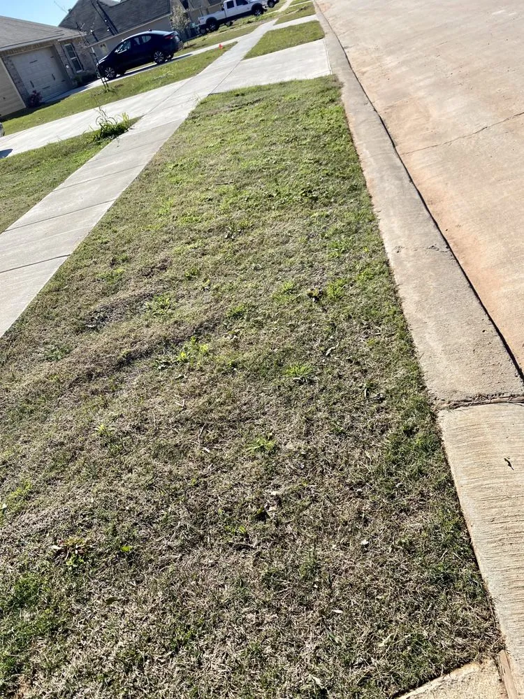 Professional yard cleanup service near you in Bossier City, LA by PLS Landscaping