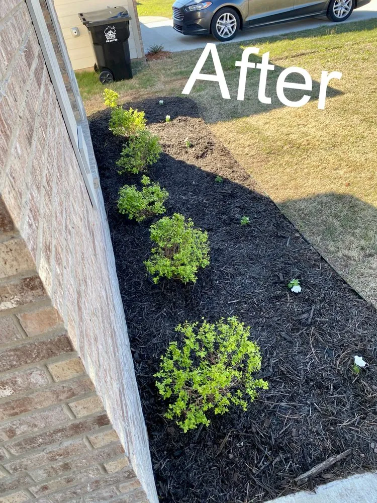 Expert landscape installation in Bossier City, LA by PLS Landscaping