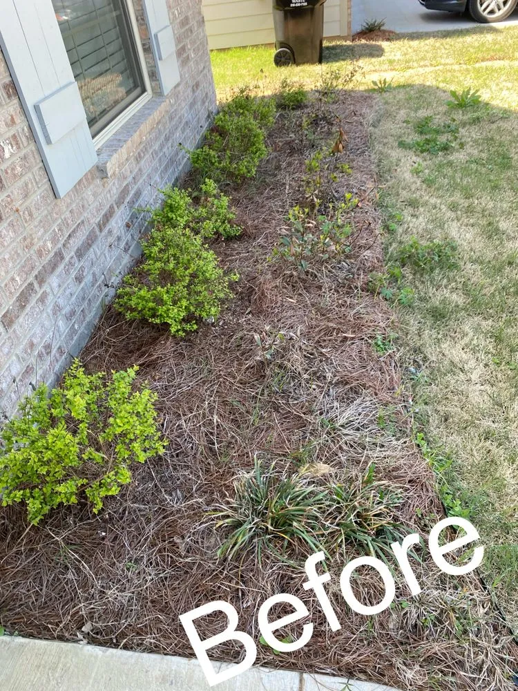 Trusted residential landscaping in Bossier City, LA - PLS Landscaping