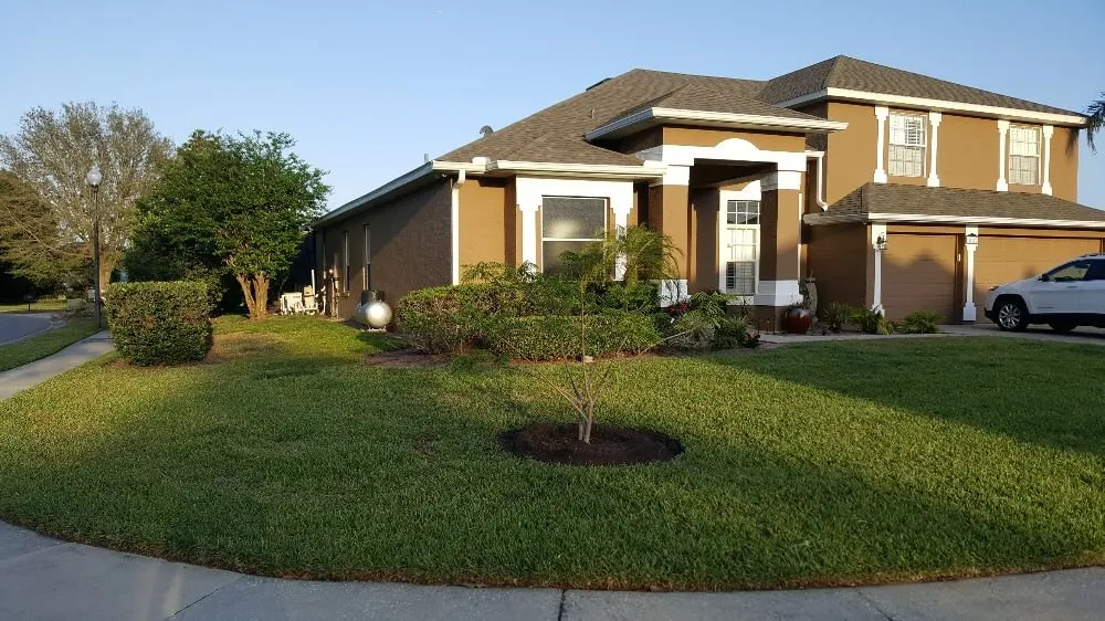 Expert landscape design in Kissimmee, FL - PLSE