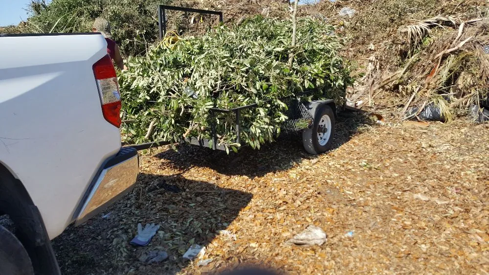 Expert residential landscaping in Kissimmee, FL - PLSE