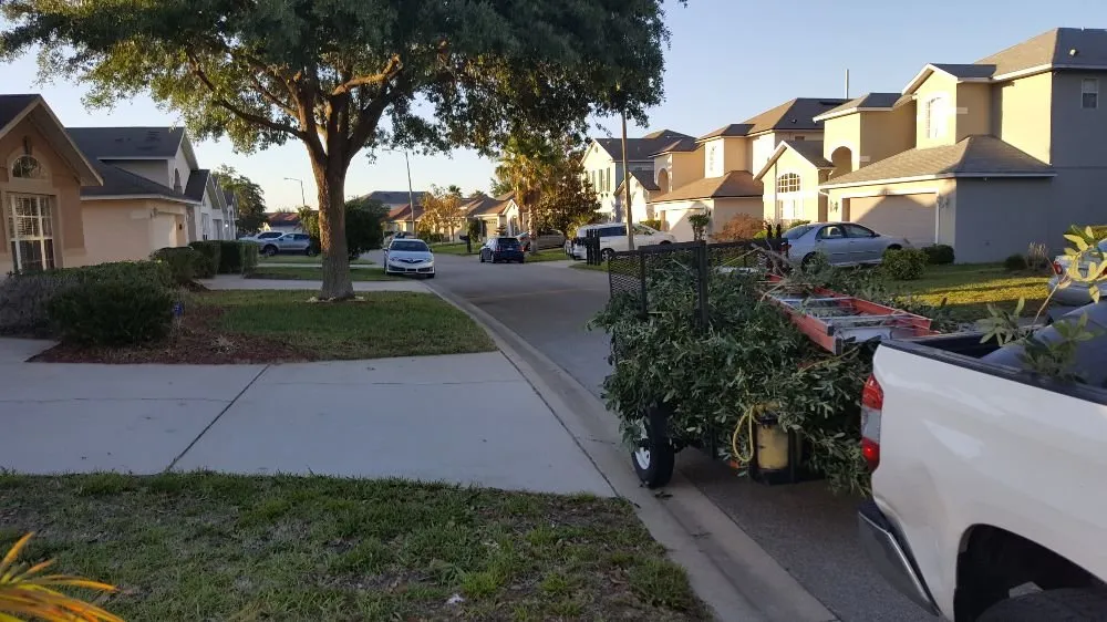 Custom yard cleanup service with custom design in Kissimmee, FL by PLSE