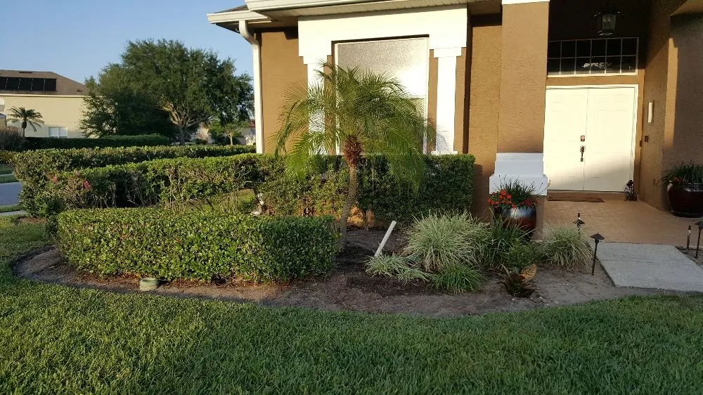 Custom outdoor landscaping experts serving Kissimmee, FL - PLSE