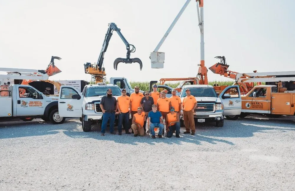 Professional yard cleanup service for outdoor upgrades in Galesburg, IL by Plue's Tree Service