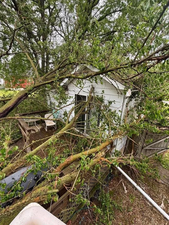 Reliable landscaping services in Galesburg, IL by Plue's Tree Service