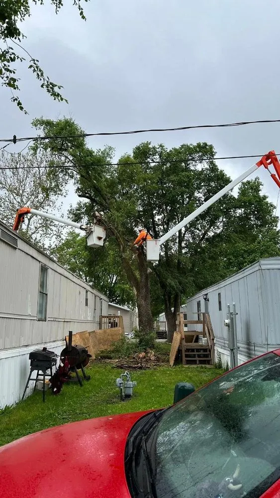 Expert landscaping services in Galesburg, IL by Plue's Tree Service