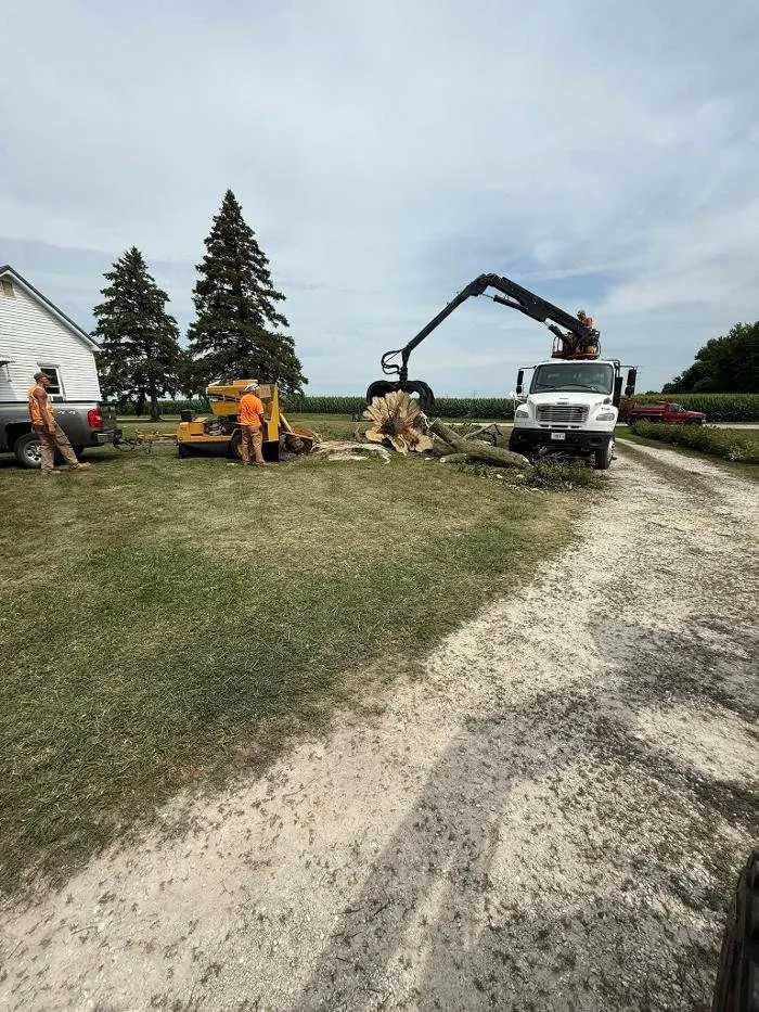 Trusted landscaping services in Galesburg, IL by Plue's Tree Service