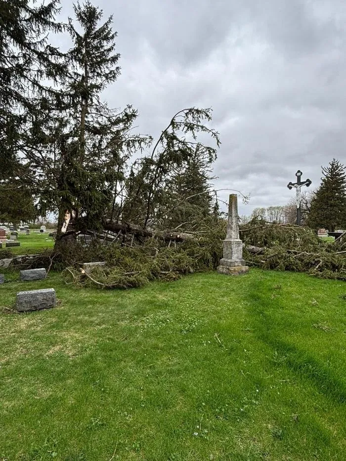 Trusted lawn mowing service for year-round maintenance across Galesburg, IL - Plue's Tree Service