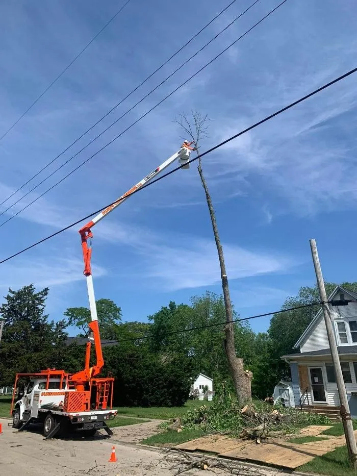 Local landscaping services in Galesburg, IL by Plue's Tree Service