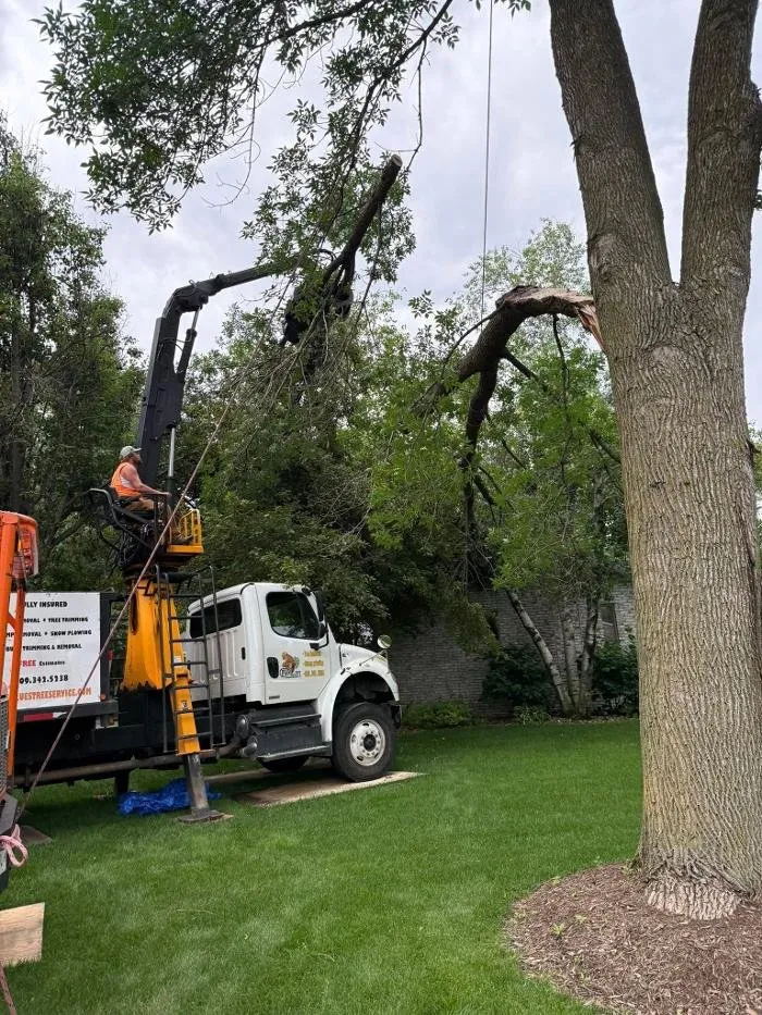 Trusted residential landscaping for year-round maintenance across Galesburg, IL - Plue's Tree Service
