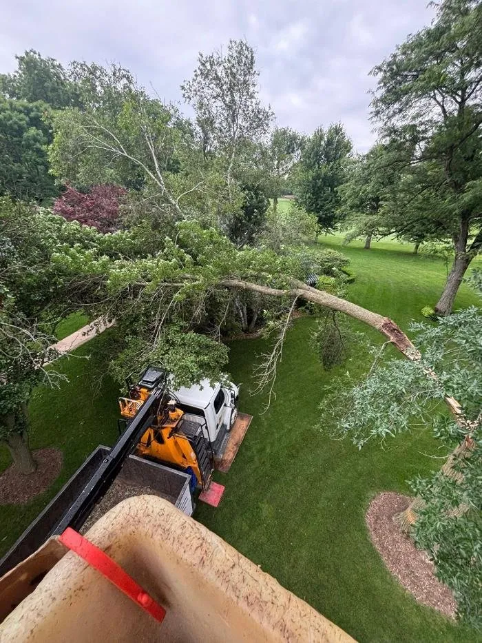 Professional yard cleanup service with custom design across Galesburg, IL - Plue's Tree Service