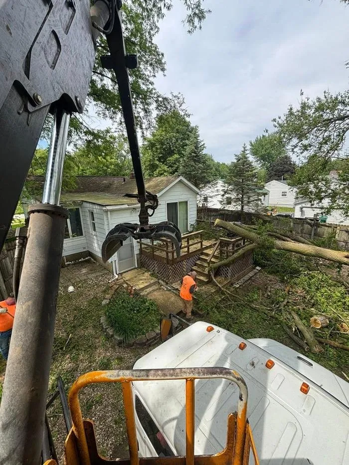 Expert landscaping services in Galesburg, IL - Plue's Tree Service