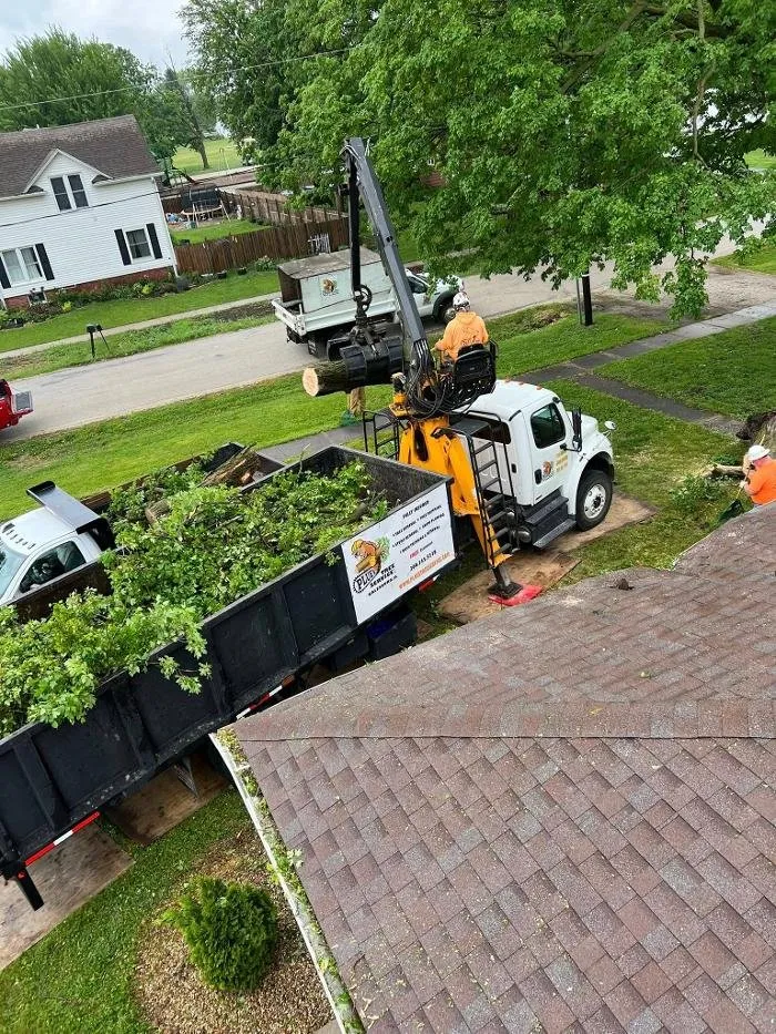 Local landscaping services experts serving Galesburg, IL - Plue's Tree Service