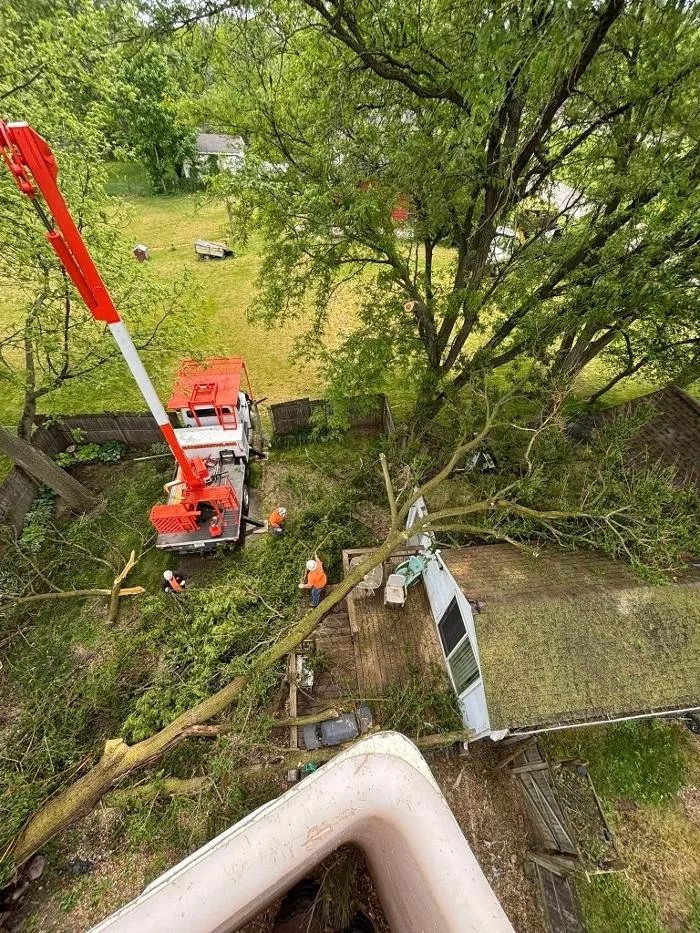 Custom outdoor landscaping for beautiful yards in Galesburg, IL by Plue's Tree Service