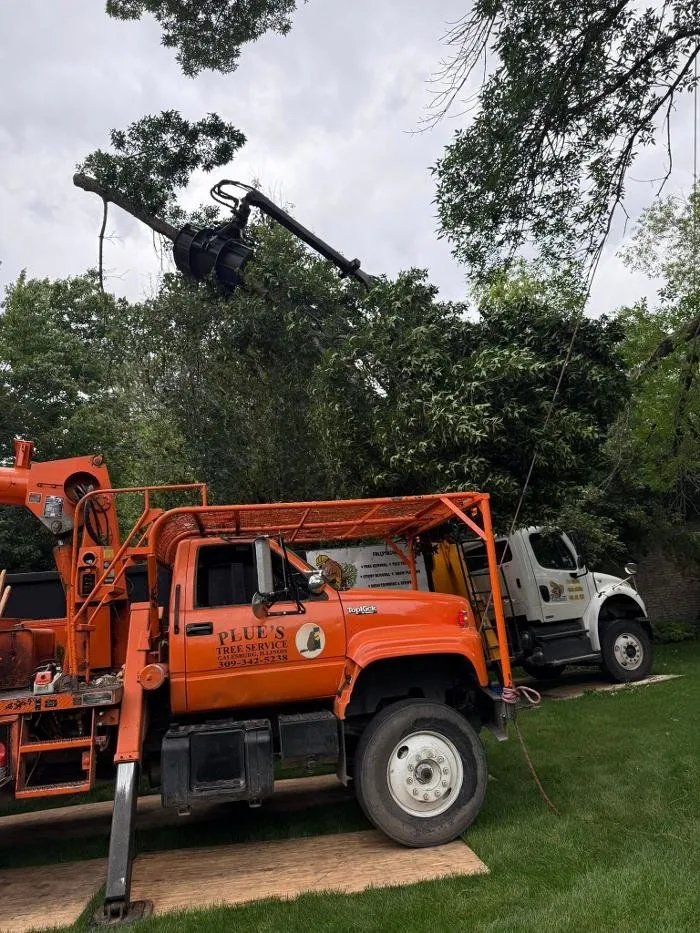 Professional yard maintenance in Galesburg, IL by Plue's Tree Service