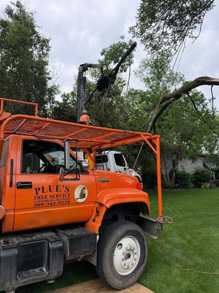 Trusted yard maintenance for homes across Galesburg, IL - Plue's Tree Service