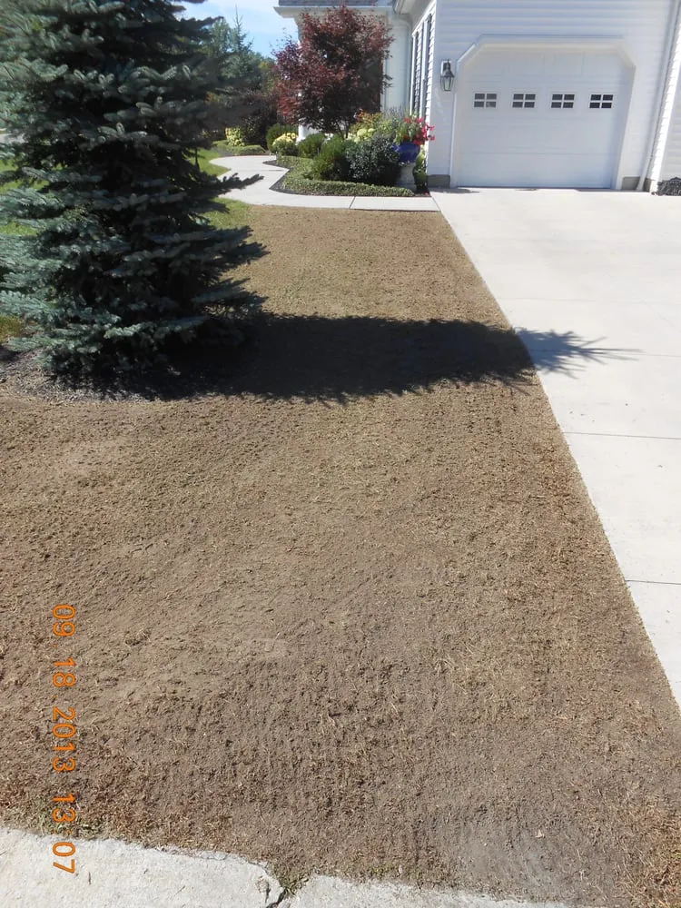 Expert yard maintenance in Youngstown, NY by Plugnalawn Lawn Aeration