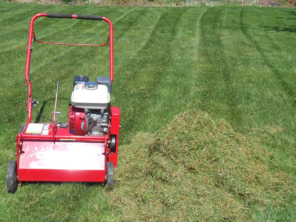 Reliable lawn mowing service with custom design across Youngstown, NY - Plugnalawn Lawn Aeration