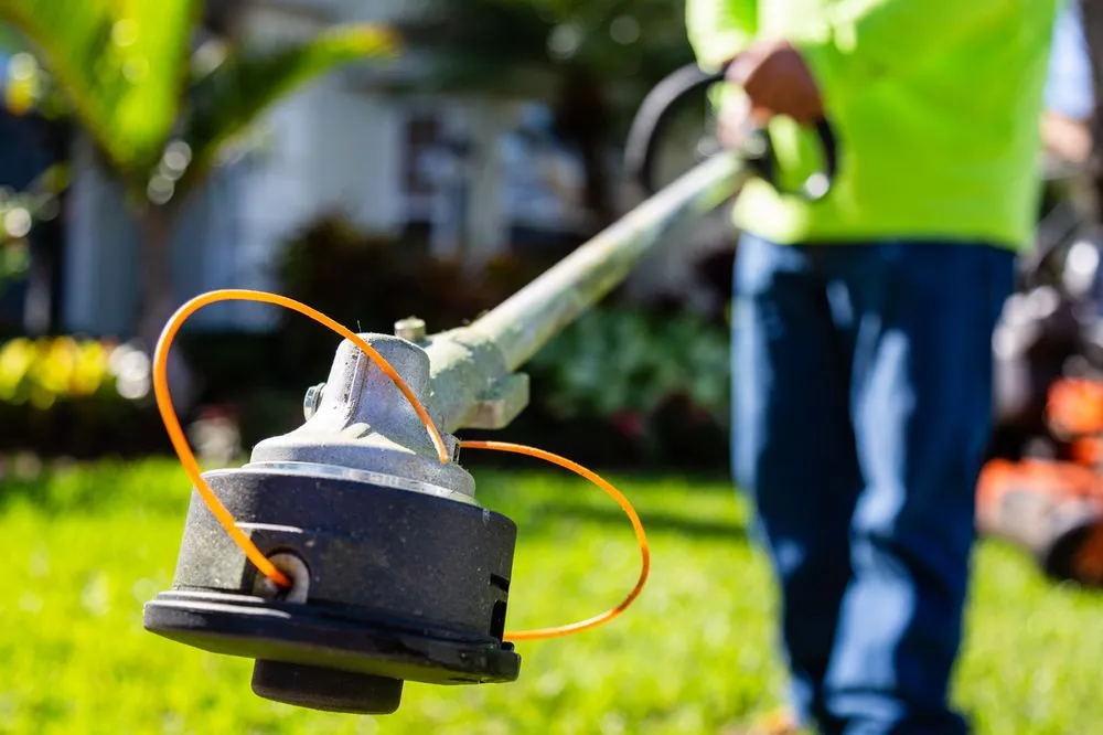 Top-rated yard maintenance in Sarasota, FL by Plugs Plus Sod & Landscaping