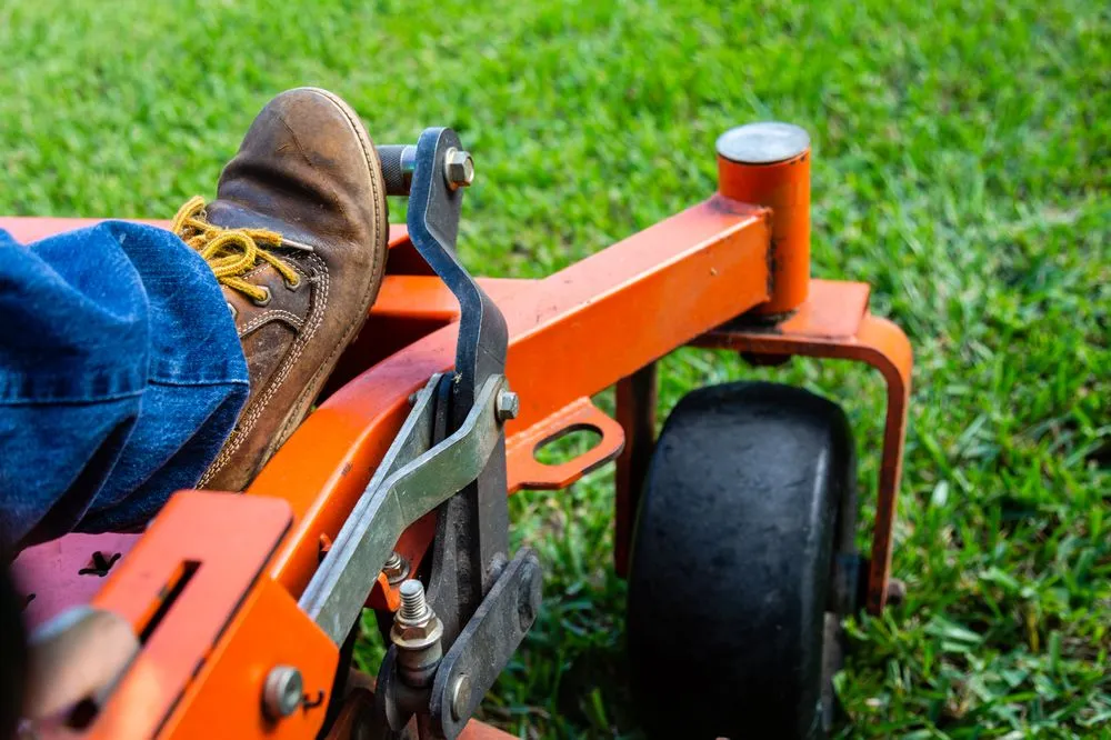 Reliable yard cleanup service for beautiful yards in Sarasota, FL by Plugs Plus Sod & Landscaping