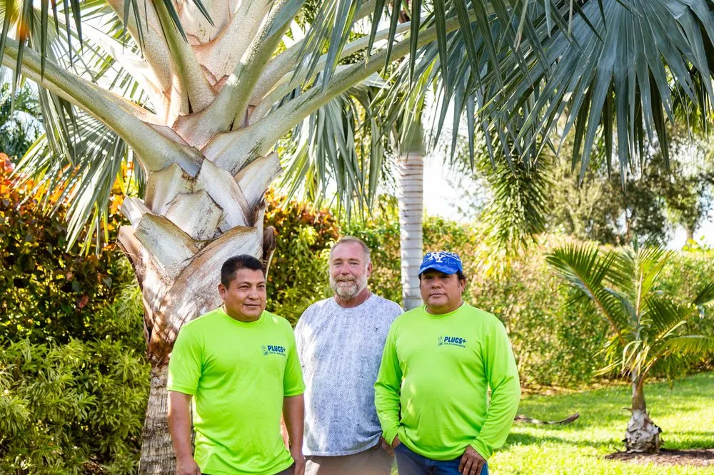 Professional yard maintenance in Sarasota, FL by Plugs Plus Sod & Landscaping