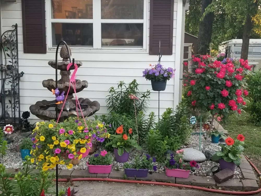 Affordable lawn care service in Joplin, MO by Plum Crazy Lawn Care