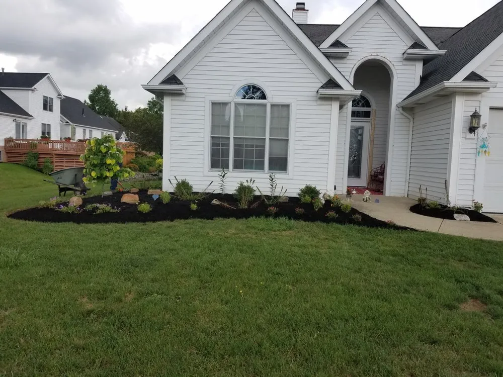 Trusted yard cleanup service experts serving Durham, NC - Plum Nut Landscaping