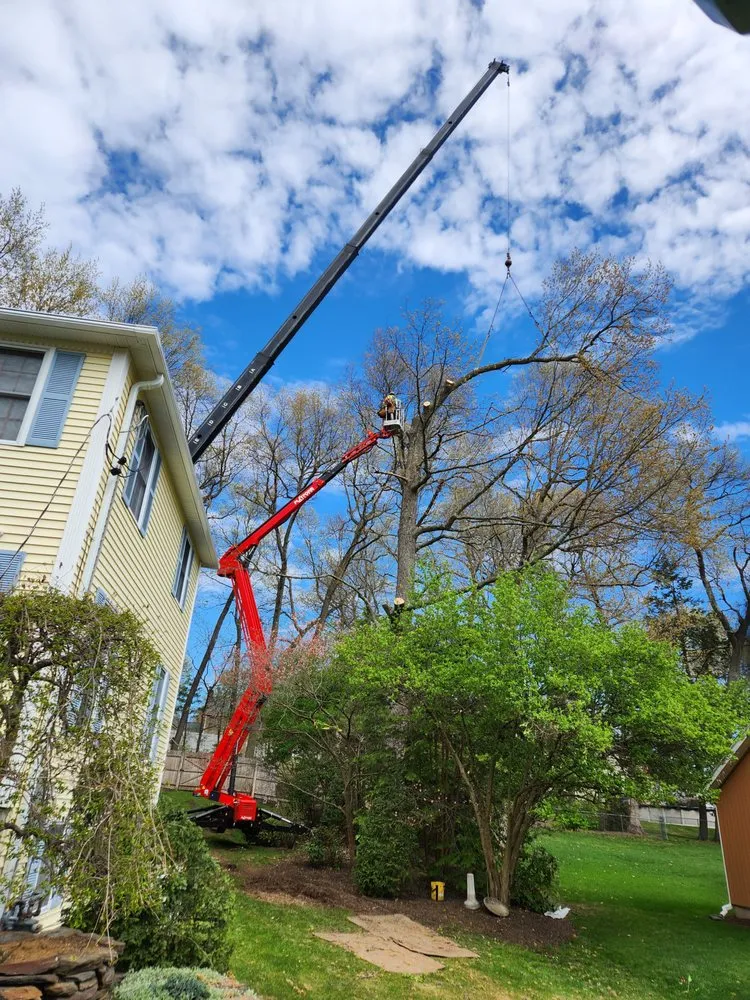 Reliable lawn care service in Russell, MA by Plumley Landscaping