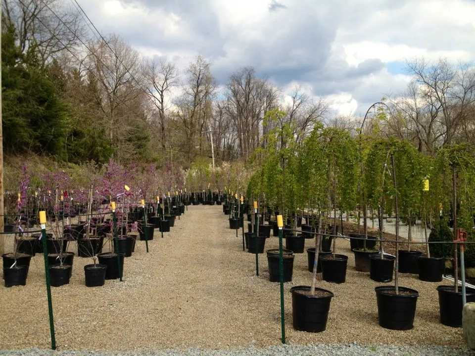 Reliable landscape installation experts serving Murrysville, PA - Plumline Nursery