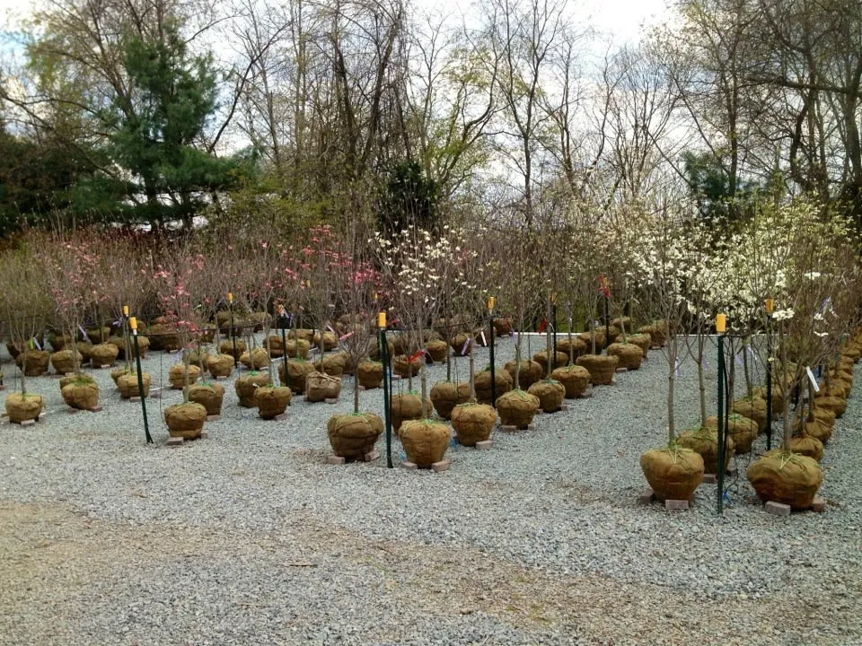 Affordable yard maintenance in Murrysville, PA by Plumline Nursery