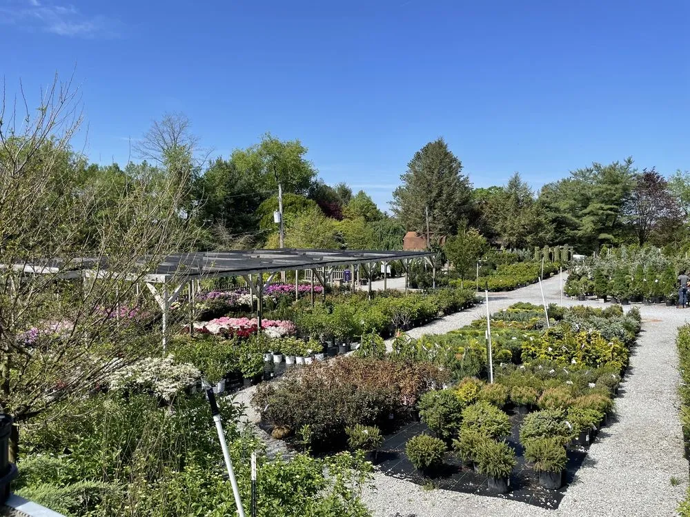 Custom lawn mowing service for homes in Murrysville, PA by Plumline Nursery