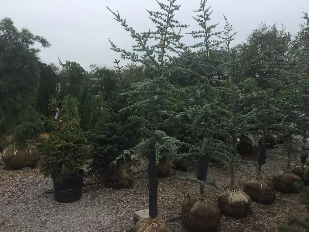 Professional garden landscaping near you in Murrysville, PA by Plumline Nursery