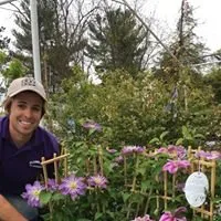 Top-rated landscape installation with custom design across Murrysville, PA - Plumline Nursery