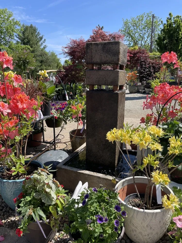 Local landscaping services for outdoor upgrades across Murrysville, PA - Plumline Nursery