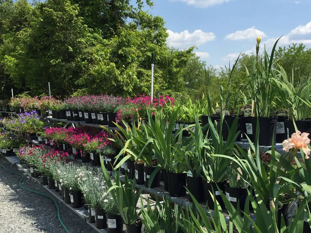 Reliable yard maintenance in Murrysville, PA - Plumline Nursery